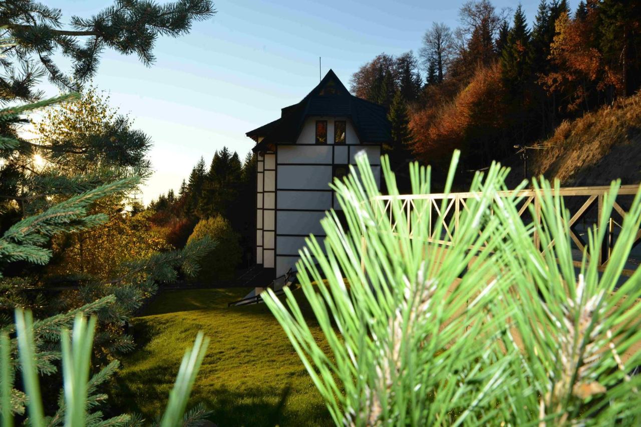 Vila Irina Kopaonik Exterior foto