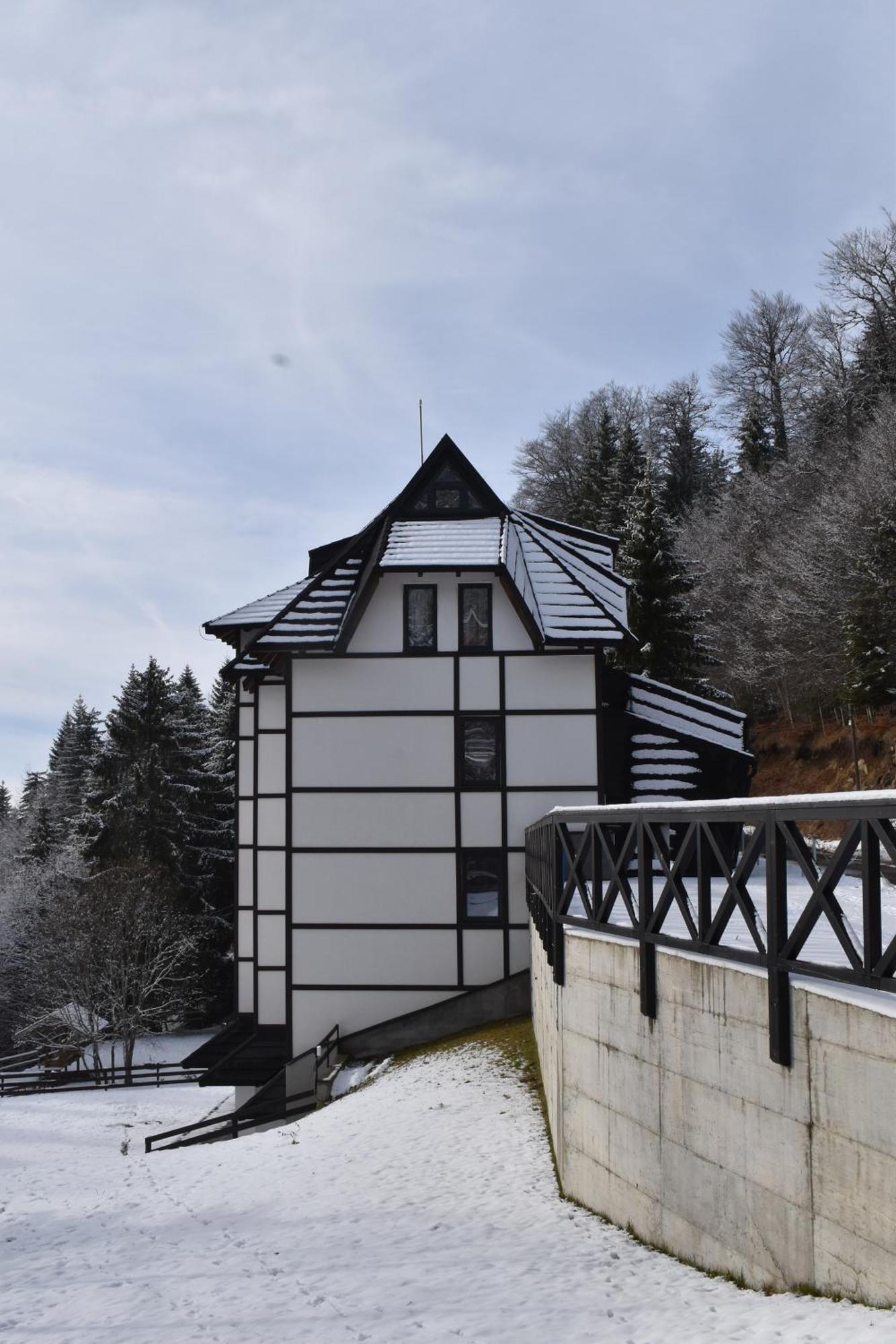 Vila Irina Kopaonik Exterior foto